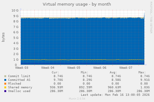 Virtual memory usage
