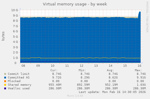Virtual memory usage